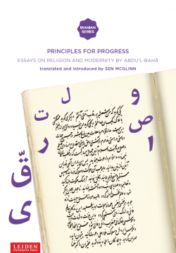 Cover McGlinn Principles for Progress